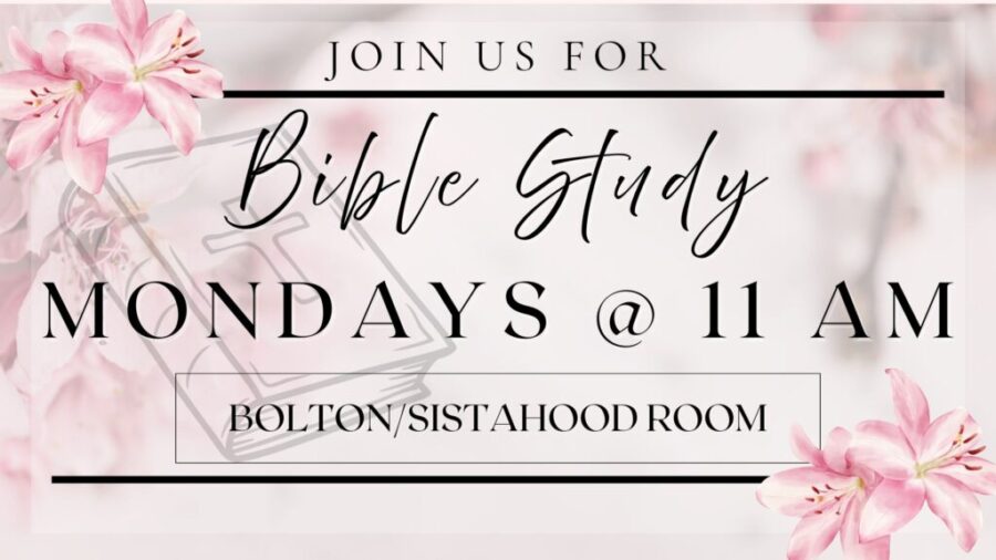 Bible Study